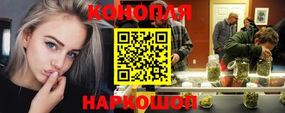 стафф Гусев