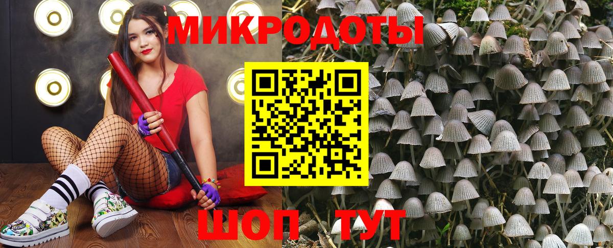 Галлюциногенные грибы мицелий Минеральные Воды